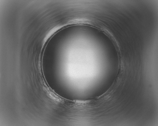 X0000077401336200610272029
