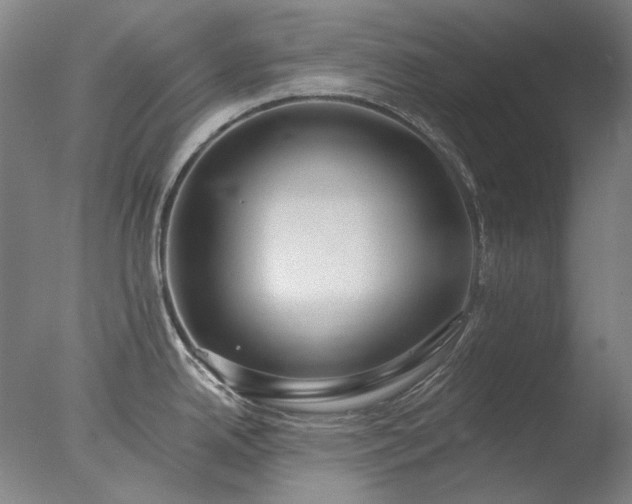 X0000077401342200610272029