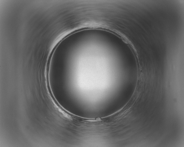X0000077401343200610272029