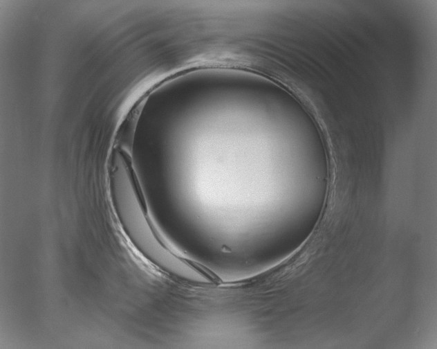 X0000077401344200610272029