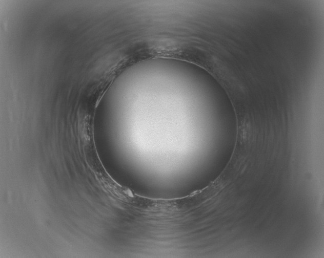 X0000077401346200610272028