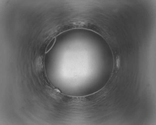 X0000077401347200610272028