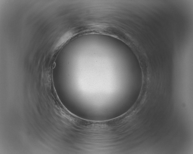 X0000077401354200610272028