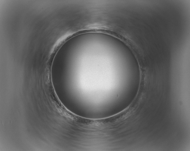 X0000077401358200610272028