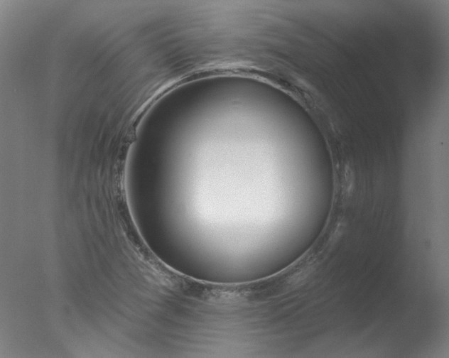 X0000077401361200610272028