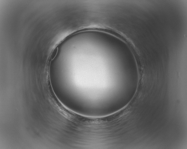 X0000077401367200610272028