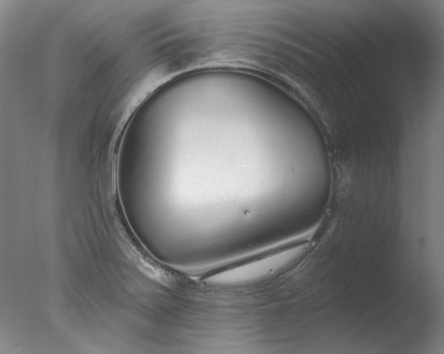 X0000077401371200610272028