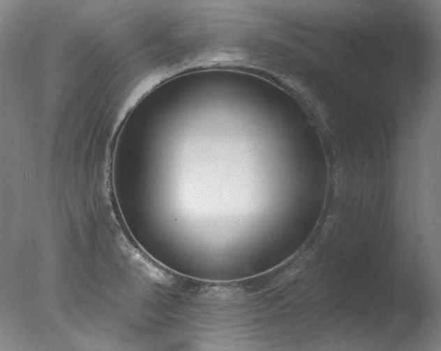 X0000077401374200610272028