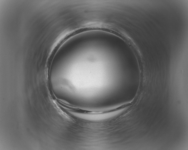 X0000077401376200610272027