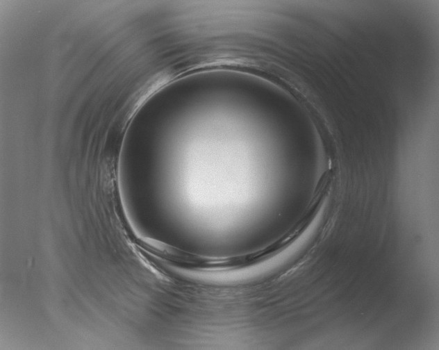 X0000077401377200610272027