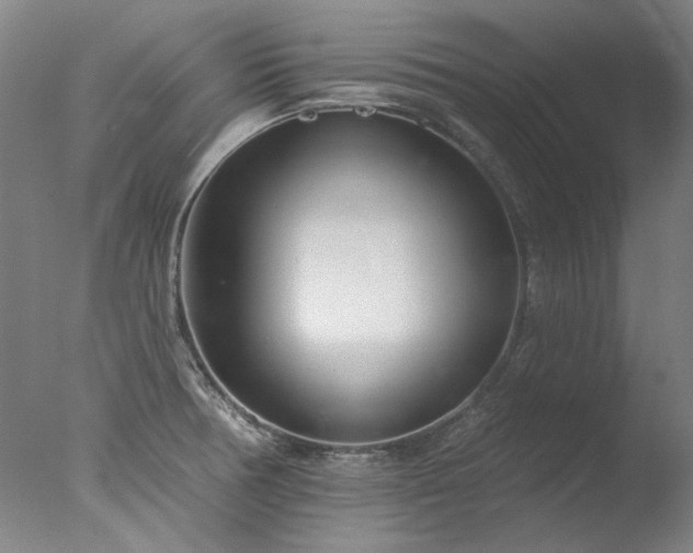 X0000077401378200610272027