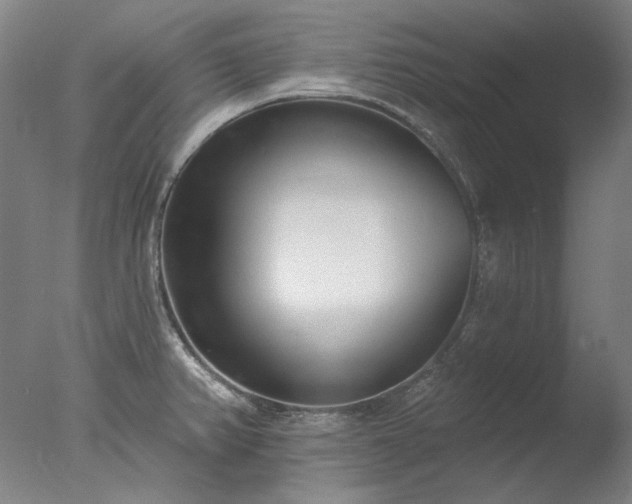 X0000077401382200610272027