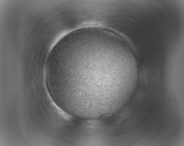 X0000077401383200610272027