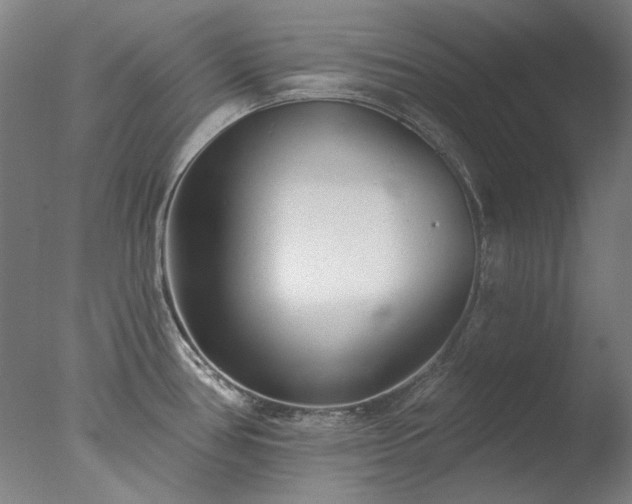 X0000077401386200610272027