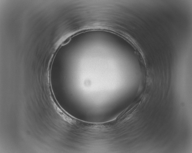 X0000077401388200610272027