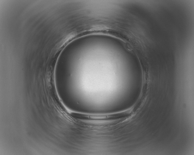X0000077401401200610272027