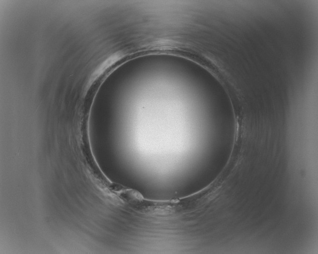 X0000077401410200610272027