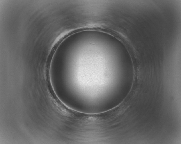 X0000077401412200610272027