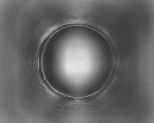 X0000077401414200610272027