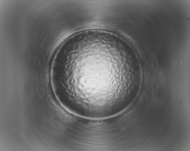 X0000077401415200610272027
