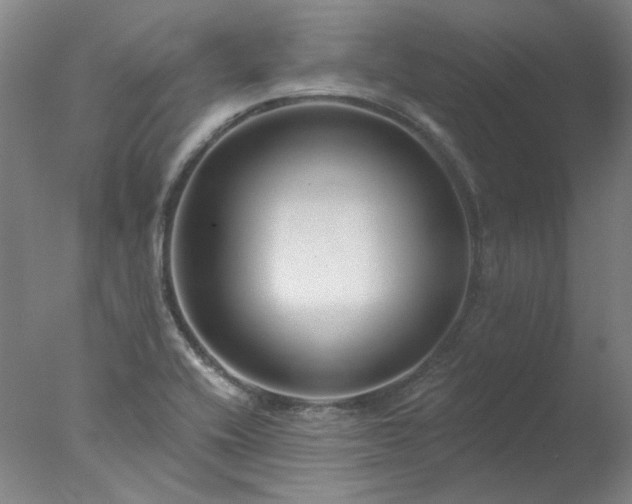 X0000077401416200610272027