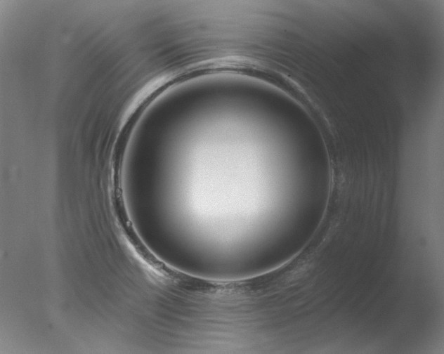 X0000077401418200610272027