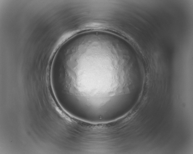 X0000077401421200610272027