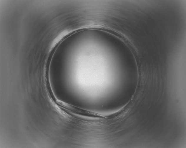 X0000077401422200610272027