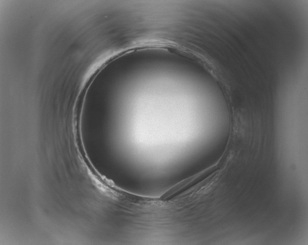 X0000077401430200610272027