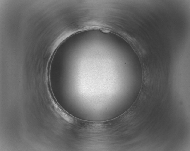 X0000077401431200610272027