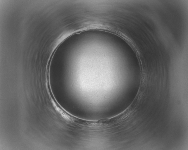 X0000077401439200610272027