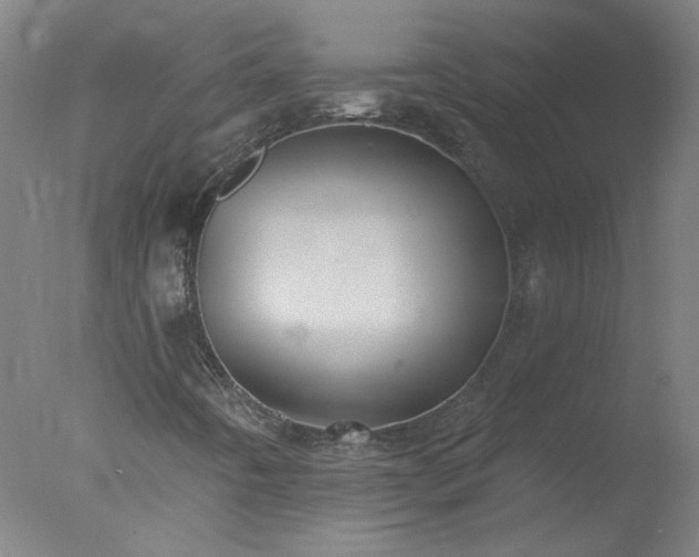 X0000077401442200610272026
