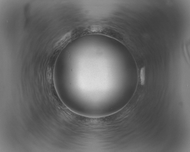 X0000077401443200610272026