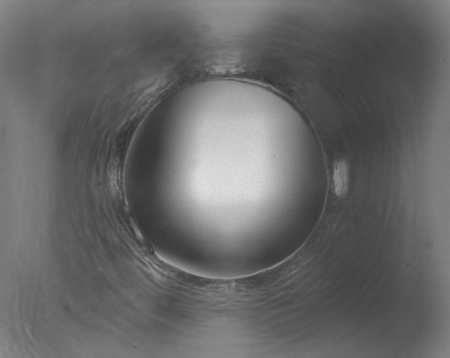 X0000077401444200610272026