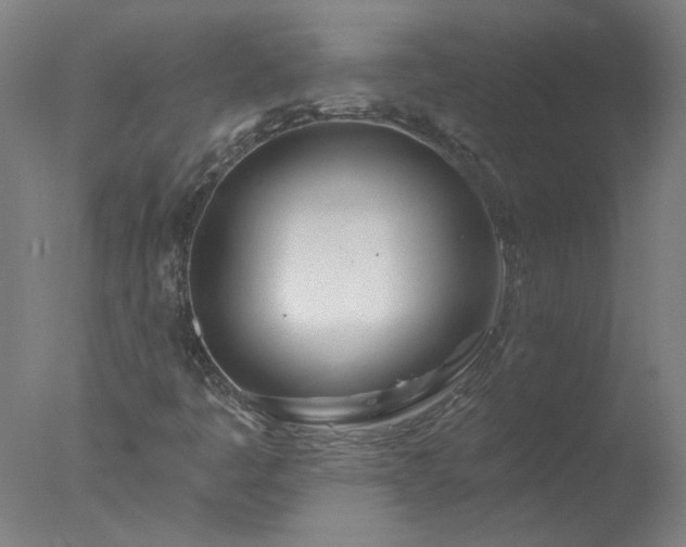 X0000077401445200610272026