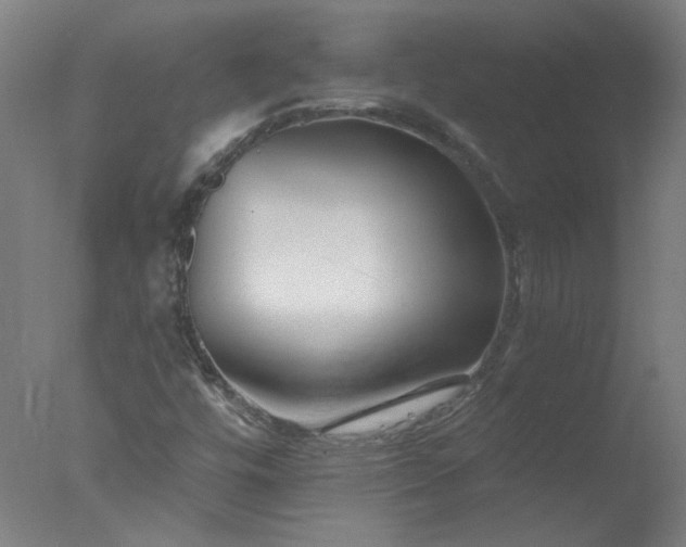 X0000077401448200610272026