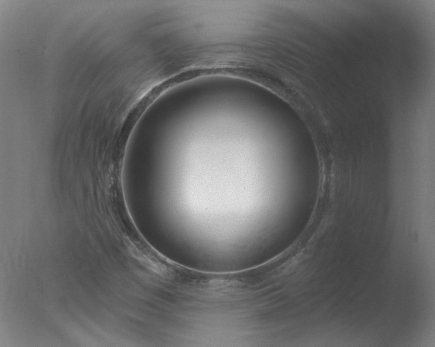 X0000077401449200610272026