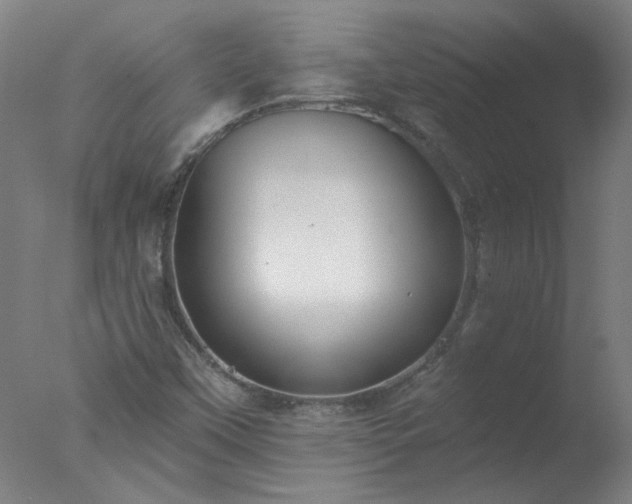 X0000077401451200610272026