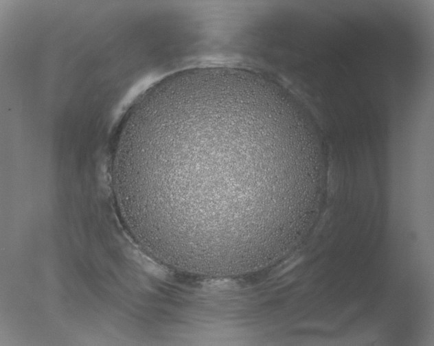 X0000077401454200610272026