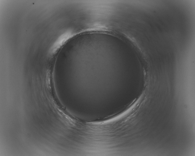 X0000077401455200610272026