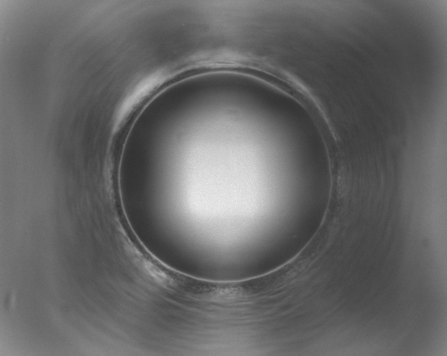 X0000077401464200610272026