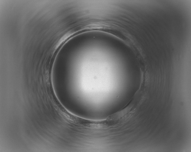 X0000077401465200610272026