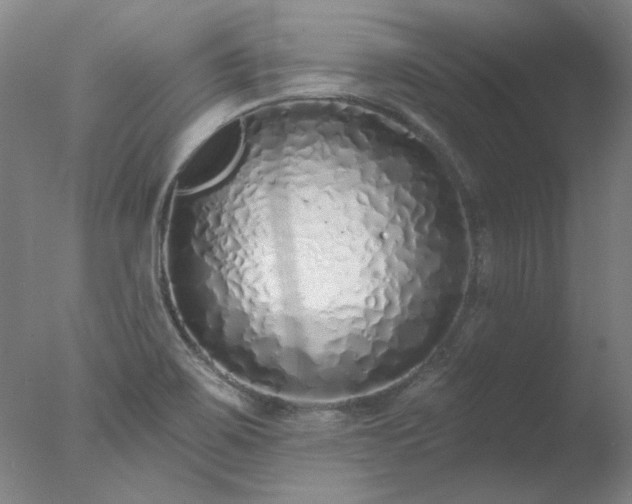 X0000077401467200610272026