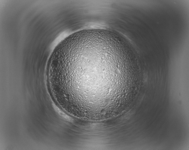 X0000077401471200610272026