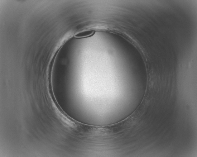 X0000077401475200610272026