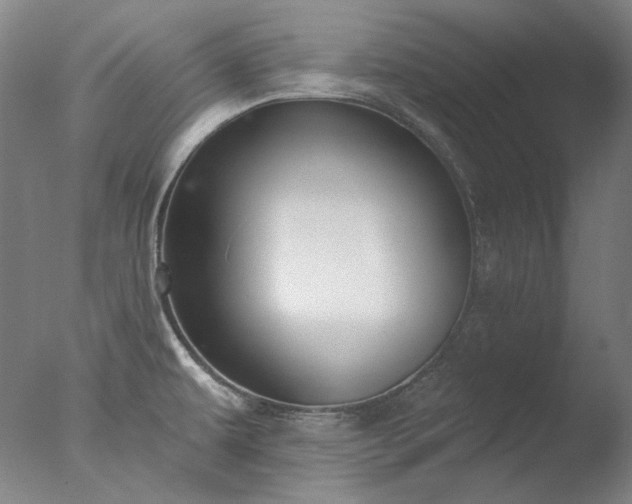 X0000077401479200610272026