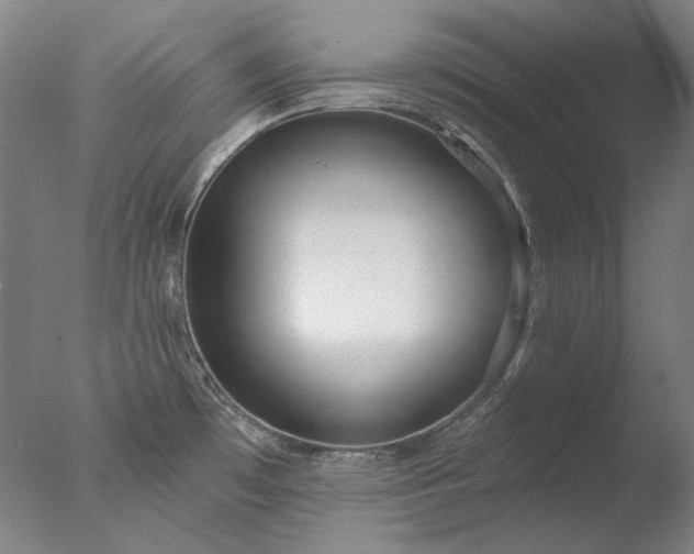 X0000077401481200610272026