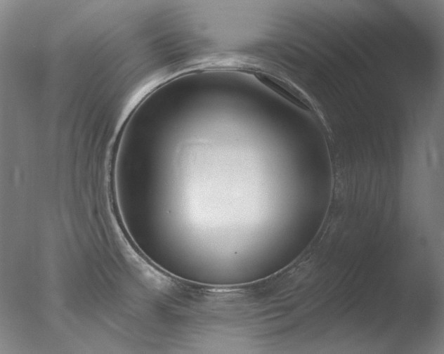X0000077401483200610272026