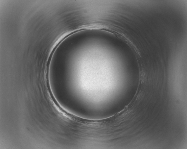 X0000077401484200610272026