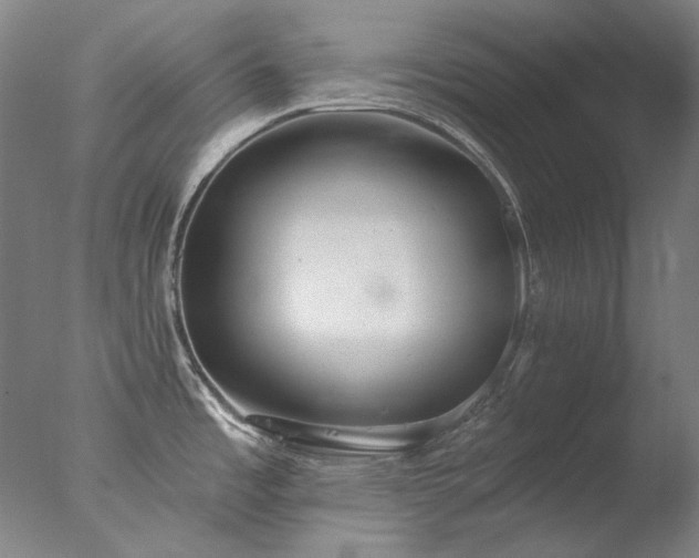 X0000077401485200610272026